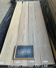 التاج المقطوع الأمريكي الجوز الفنير الطبيعي AA الدرجة سميك 0.42mm لون خفيف