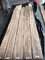 لوح قشرة خشب الجوز الأمريكي على شكل تاج من الدرجة B