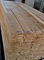 عادي شريحة عرض الصنوبر معقود 12 سم قشرة الخشب الطبيعي للكريكوت